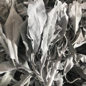 White Sage 30g (Loose, Dried - Grown in Devon UK)